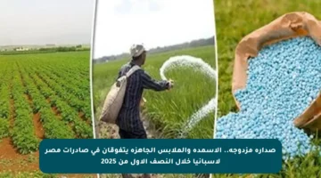 صدارة مزدوجة.. الأسمدة والملابس الجاهزة يتفوقان في صادرات مصر لأسبانيا خلال النصف الأول من 2025